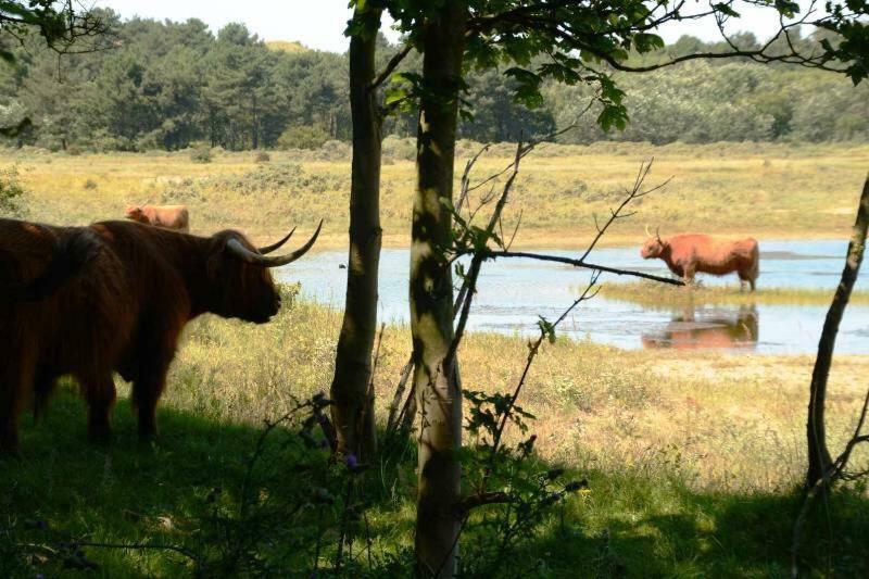 Appartamento La Tulipe Egmond aan den Hoef Esterno foto